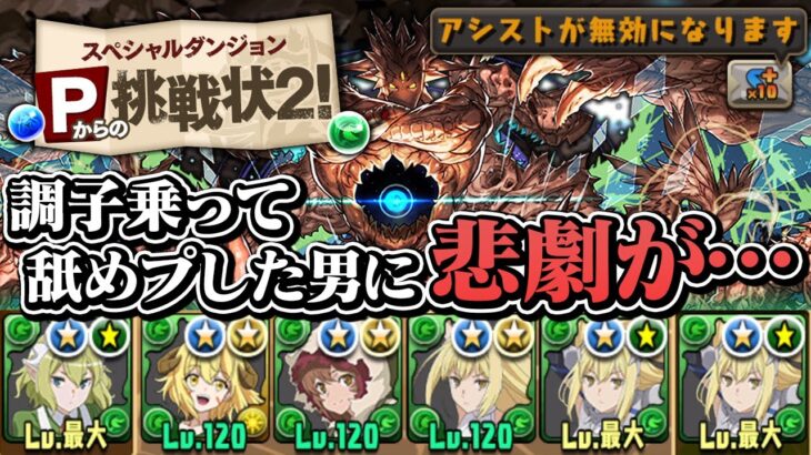 【新億兆】Pからの挑戦状2にアシスト無しで挑む男【パズドラ】