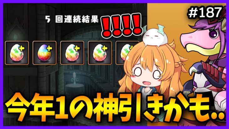 【無課金パズドラ】まだ１月だけど今年最高の神引きをしたかもしれません【フェス限ヒロインガチャ】