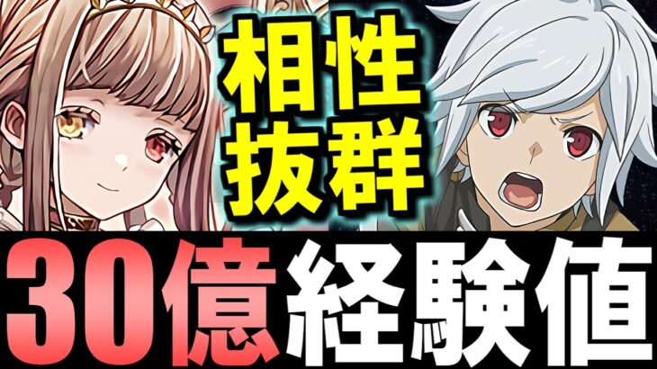 【今から組むならコレ】アウラ入りベルが誇張なしで強い!!十億ダンジョンを安定周回でランク上げ爆速!!【パズドラ】