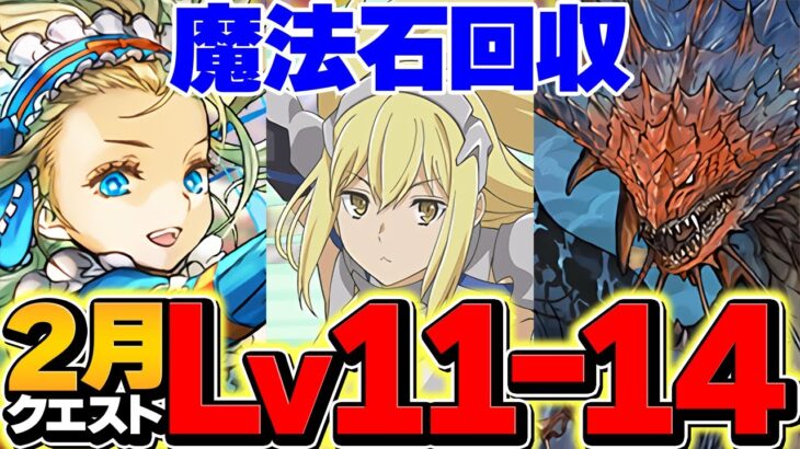 【これ見ればOK】2月クエストLV11-LV14で魔法石大量回収！代用&立ち回り解説！【パズドラ】