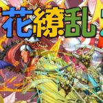 【パズドラ】雷神で百花繚乱２に挑戦！【声無し】