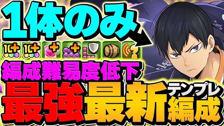 【環境1位】裏十億チャレンジを日向×影山で22分攻略！部位破壊7！組みやすさ超絶UP!【パズドラ】