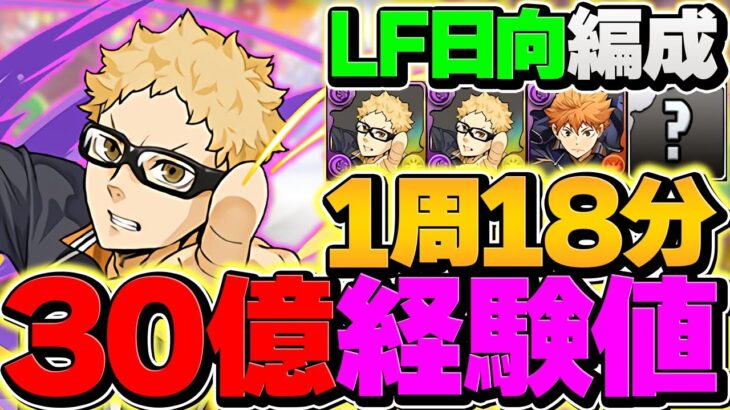 1周30億経験値！裏十億で”ランク上げ”！LF日向の8c加算で快適周回！代用&立ち回り解説！ハイキューコラボ！！【パズドラ】