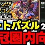【ランダン】ずらしとルートで楽々王冠！ランキングダンジョン13周年記念杯22万点↑王冠圏内向け編成代用＆立ち回り解説！【パズドラ】