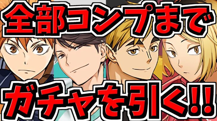 【地獄回】魔法石2000個！コンプまでガチャを引く！ハイキューコラボ【パズドラ】