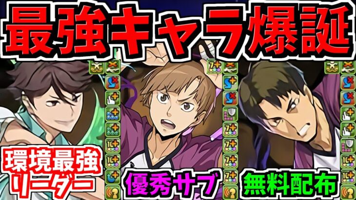 【最強リーダー】ぶっ壊れ性能が量産されていく！新キャラ6体性能解説！(4日目)ハイキューコラボ【パズドラ】