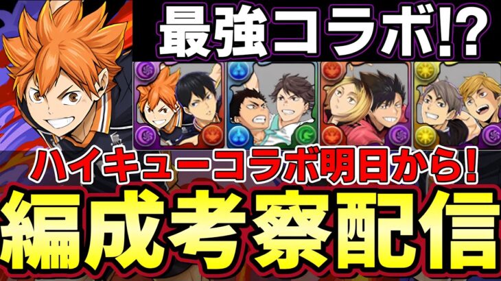 【パズドラ】ハイキューコラボの編成考えよう‼︎【雑談配信】