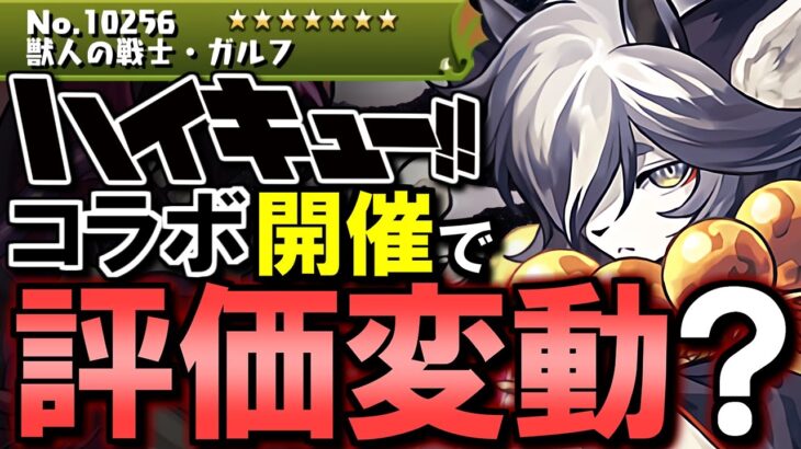 【ハイキューでガルフの評価が変動】神器龍物語シリーズ 交換ランキング&確保数解説!!微課金目線で徹底解説します。【パズドラ】