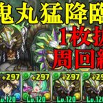 【鬼丸猛降臨】スキル上げ有り！鬼丸猛✕正月ノルディスで周回！！【パズドラ】【1枚抜き】
