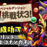 【生放送】山本Pからの挑戦状!!【ダックス】【パズドラ実況】