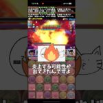 【パズドラ】それでも僕は嫌いです。#パズドラ #shorts #部位破壊 #新極悪 #コナン #日向翔陽 #雑談 #トーク