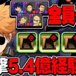 【レシート不要】最新版ランク上げ編成が美味すぎたコナンコラボ【パズドラ】