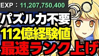 【112億経験値】パズル力不要で最高率のランク上げ！1周最大112億経験値のディバインゲート12億コロシアム！サレサレ編成代用＆立ち回り解説！【パズドラ】