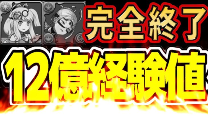 【ランク上げ革命】ログイン初日にランク1,200時代到来⁉︎ 新ダンジョンがヤバすぎる【パズドラ】