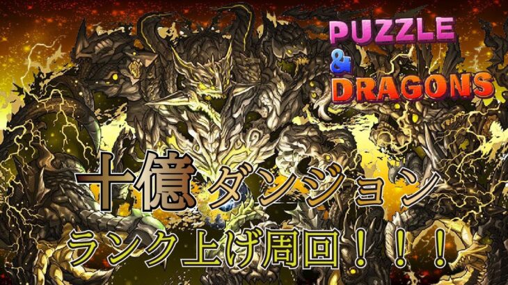 【パズドラ】十億ダンジョンでランク上げするぞ！！！ランク1244～