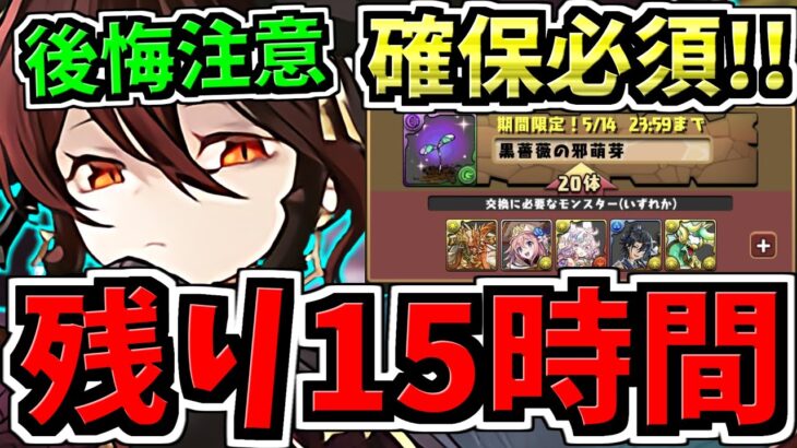 【残り15時間】確保必須！後悔注意です！最終評価”黒薔薇ロゼッタ”交換解説！○体確保すべき！最強キャラを逃して後悔のないように！【パズドラ】