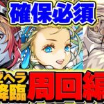 【運営やらかし】執事・ゼウス&メイド・ヘラ降臨の”1F先制攻撃”が”実質2600万”ダメージにｗｗノア3分台周回編成！【パズドラ】