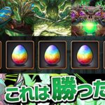 【これで石5個】副産物が美味すぎてつい引いてしまう精霊フェス【パズドラ】