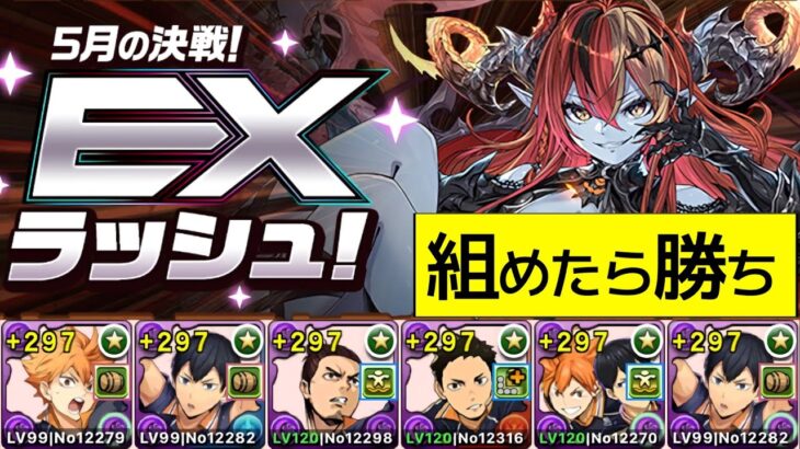【5月EX】テンプレハイキューPTで安定クリア！アシスト簡単め！【パズドラ】