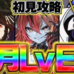 ロゼッタでEXチャレンジを初見攻略！木星より余裕で難しいんだがｗｗ魔法石20個ゲット！【パズドラ】