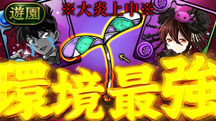 【絶賛炎上中】炎上から生まれた環境最強……ロゼッタ世界最強編成の組み方！(常闇風)【パズドラ】