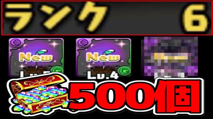 【力技】ログイン初日にロゼッタループを組む裏技【パズドラ】