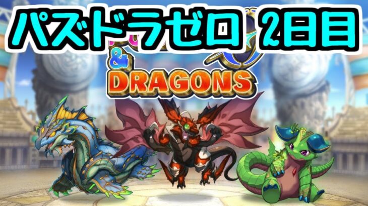 【生放送】パズドラゼロが楽しすぎて配信外で無限にやってた【パズドラ】
