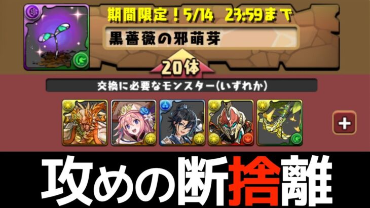 黒薔薇ロゼッタの交換弾を攻めてみた【パズドラ】
