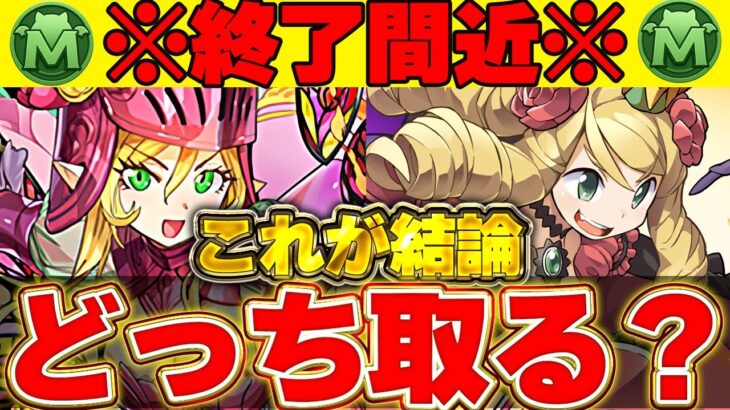 【🚨終了間近🚨】こっち優先で取ろう！！リアナとケリ姫＆ネクロマンサーについてどちら確保すべきか解説！！【星を紡ぐ精霊】【ガンホーコラボ】【パズドラ実況】＃パズドラ