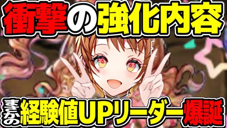 【ぶっ壊れ⁉︎】最強ループ爆誕！ガンコラ既存強化が予想外すぎてヤバすぎる【パズドラ】