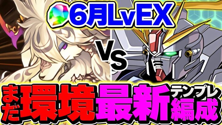 【11分攻略】F91で6月EXラッシュを完全攻略！これが元最強リーダーの意地！【パズドラ】