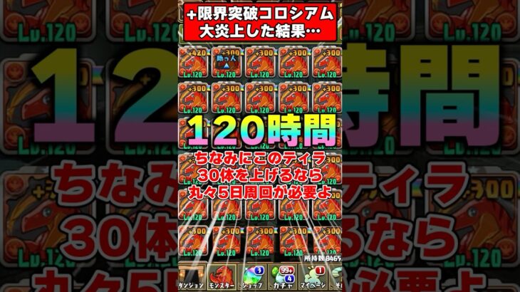 【パズドラ】1体育成に4時間!?プラス限界突破コロシアムの周回が地獄すぎる…!! #shorts #パズドラ #ドラゴン縛り 【ゆっくり実況】