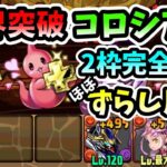 【パズドラ】限界突破コロシアムをセイナでほぼずらし周回！自由2枠あり