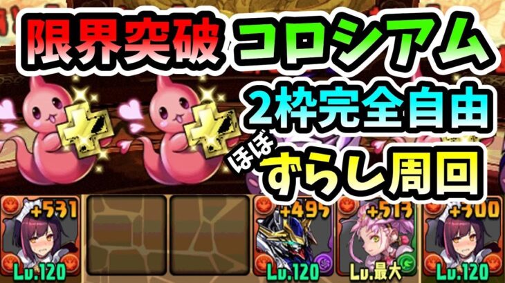 【パズドラ】限界突破コロシアムをセイナでほぼずらし周回！自由2枠あり