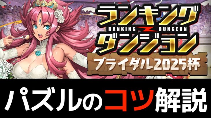 【ランダンブライダル杯】21万点の出し方！ルーレットは友達、怖くない【パズドラ】