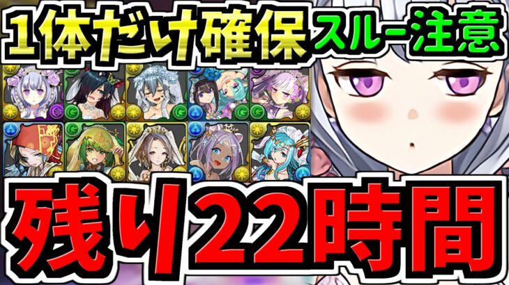 【残り22時間】スルー注意！1体だけ確保！交換優先度ランキング！ブライダル交換所解説！最強キャラを後悔のないように交換しよう！【パズドラ】