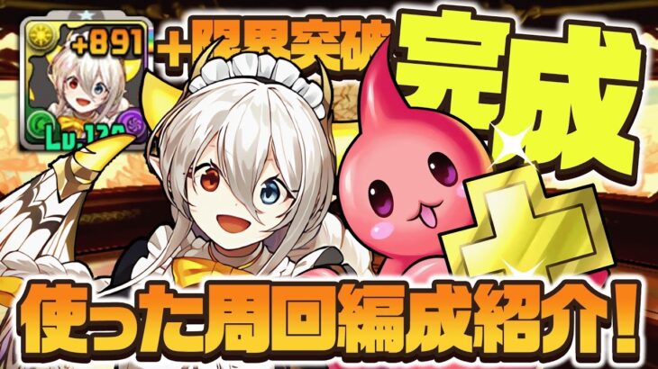 【パズドラ】＋891達成！周回で使ったメイドイデアル編成をご紹介！【＋限界突破コロシアム】