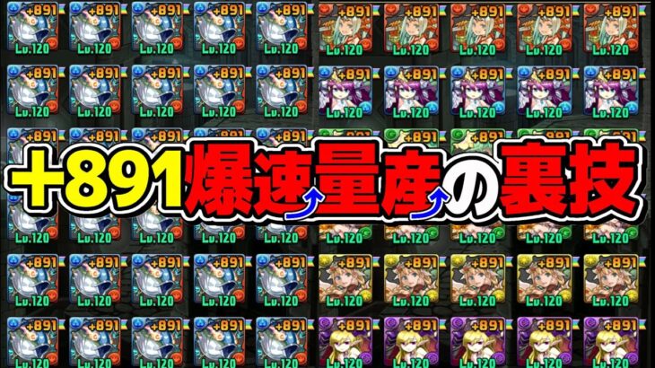 知らずに大損要注意！+891キャラを爆速で作る裏技と危険性がヤバすぎる【パズドラ】