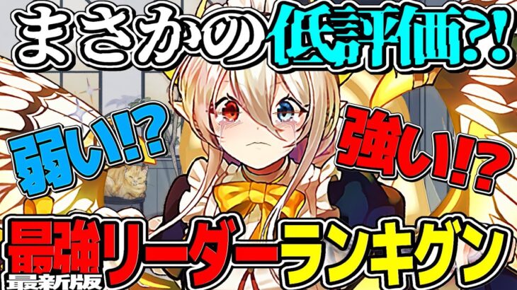 【賛否両論】攻略サイトでメイドイデアルがまさかの低評価⁉︎ 全ての原因は〇〇環境にありました【パズドラ】