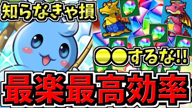 【知らなきゃ損】○○するな！無料”魔法石＆ガチャ”を最楽かつ最高効率でGET！釣り立ち回り解説！ツリットの釣りパラダイス【パズドラ】