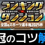 【ランダンeスポ杯】20.5万点の出し方！ゆっくり急いで王冠獲得うおおおおお【パズドラ】