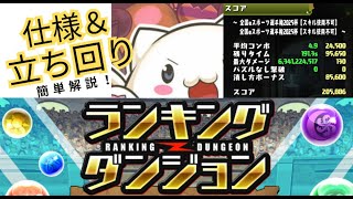 【パズドラ】ランキングダンジョン「全国eスポーツ選手権2025杯」簡単解説