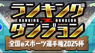 【クリア用】ランキングダンジョン全国eスポーツ選手権2025杯【パズル&ドラゴンズ/#パズドラ】