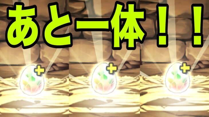 恐怖と絶望の『カシアン一点狙いガチャ』番外編　歴世の杯と神創の雫【パズドラ】