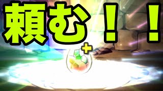 恐怖と絶望の『ソロモン一点狙いガチャ』【パズドラ】