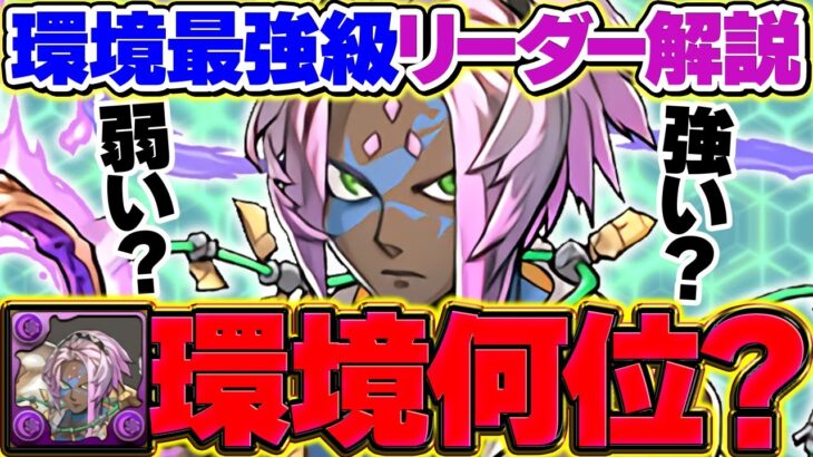 ソロモンは環境最強リーダー第何位？新フェス限の評価について解説！！！【パズドラ】