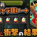 【無欲の勝利】久々の龍契士＆龍喚士ガチャで神引きを決める男【パズドラ】