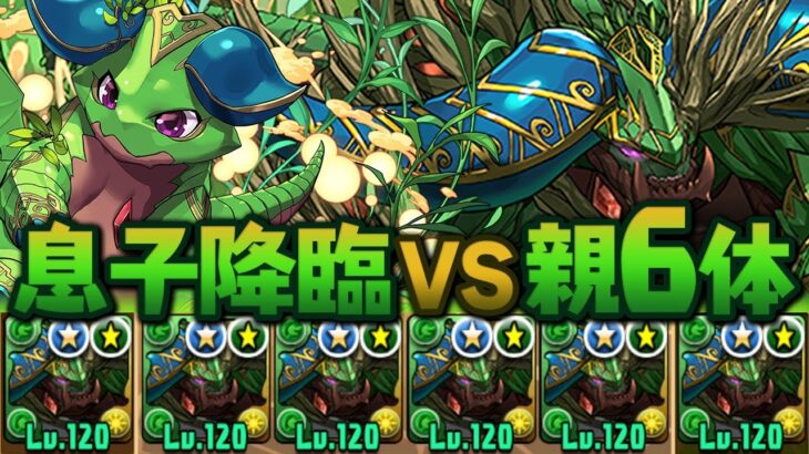 【親子対決】シルヴァ艦隊でシルドラン降臨に突撃してみた【パズドラ】