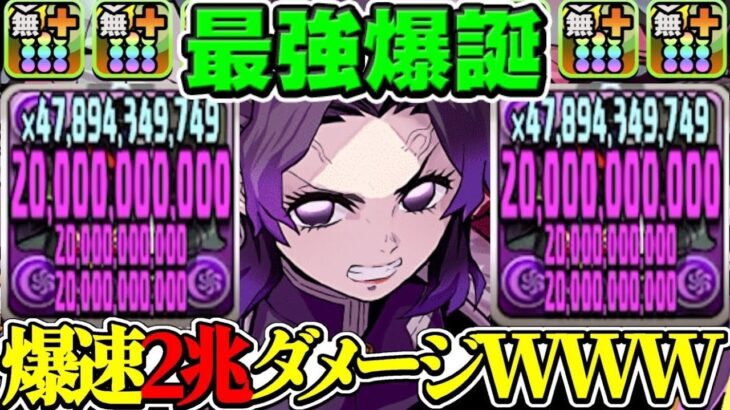 【勝率1000%】圧倒的チートスキル！胡蝶しのぶがぶっ壊れリーダーに！実質毎ターン1,000億追い討ちはヤバすぎる【パズドラ】