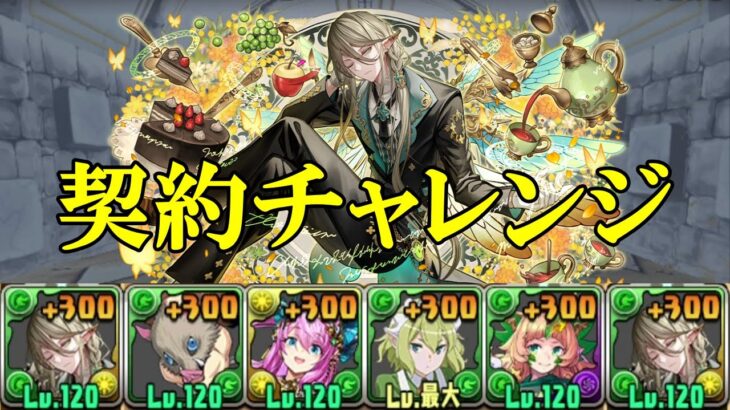 【契約チャレンジ】執事アルバート✕執事アルバートで契約攻略！！【パズドラ】【称号チャレンジ】【制限時間60分】